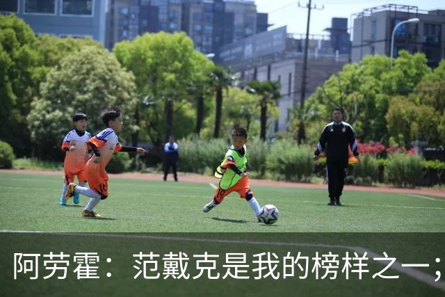 阿劳霍：范戴克是我的榜样之一；儿时唯一的偶像是小罗